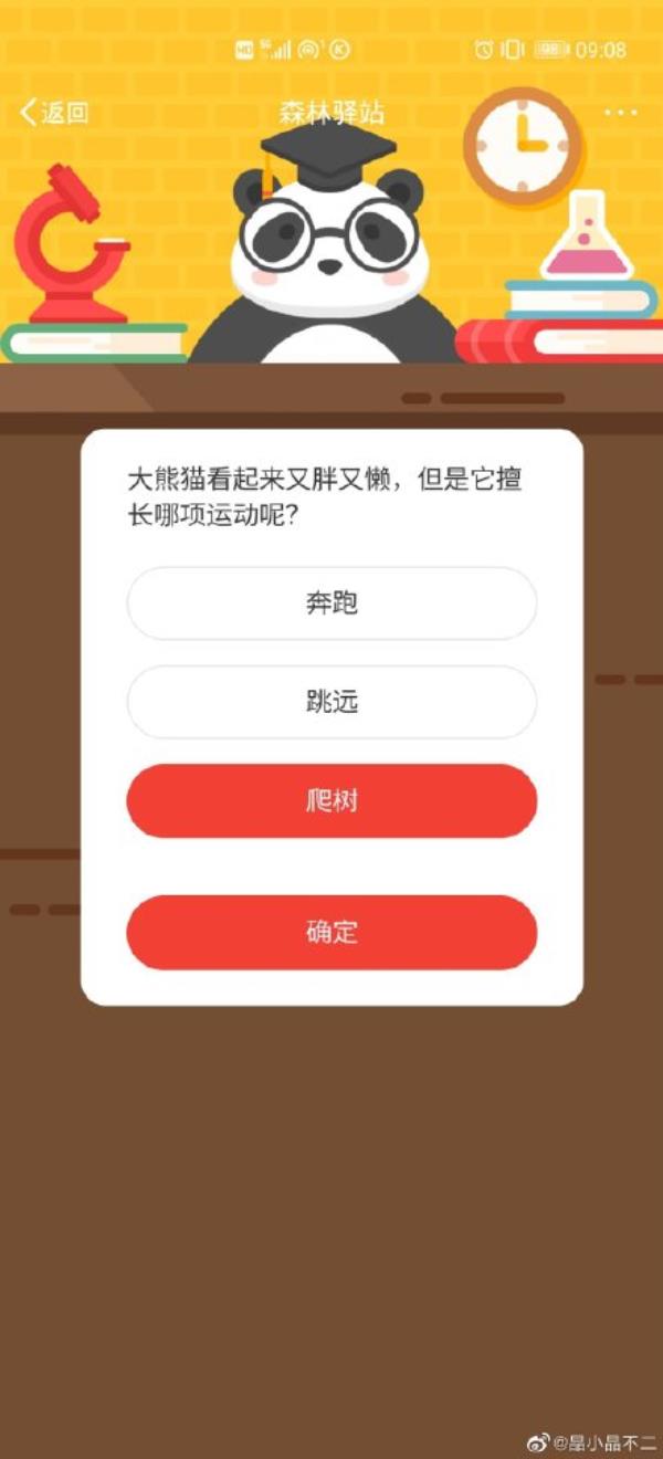 微博森林驿站大熊猫擅长哪项运动