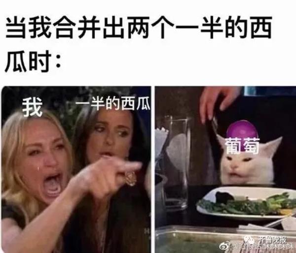 合成大西瓜网页版地址