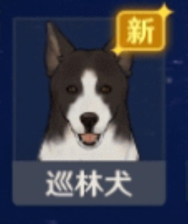 原神巡林犬位置介绍