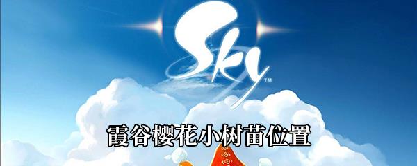 Sky光遇霞谷樱花小树苗位置