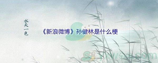 新浪微博孙健林是什么梗