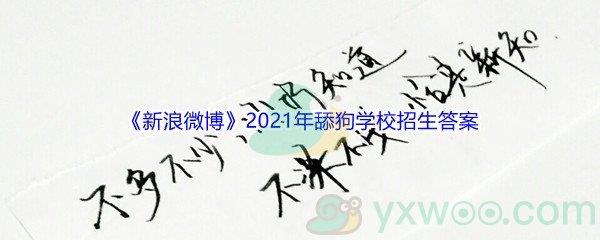 新浪微博2021年舔狗学校招生全国统一考试答案