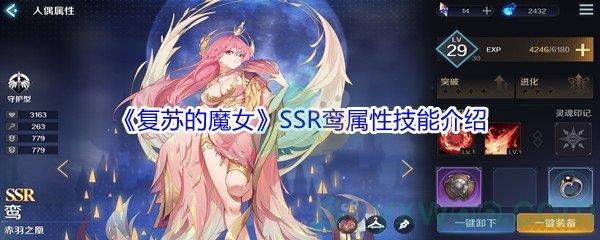 复苏的魔女SSR鸾属性技能介绍