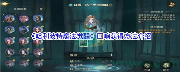 哈利波特魔法觉醒回响获得方法介绍