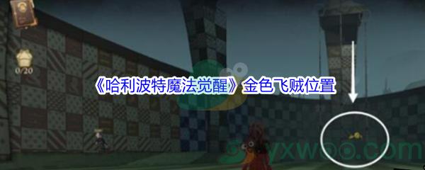 哈利波特魔法觉醒金色飞贼位置介绍