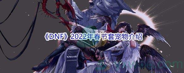 DNF2022年春节套宠物介绍