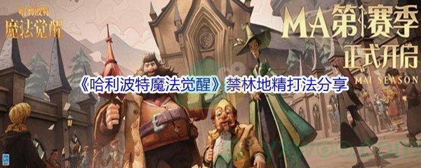 哈利波特魔法觉醒禁林地精打法分享