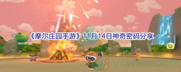 2021摩尔庄园手游11月14日神奇密码分享