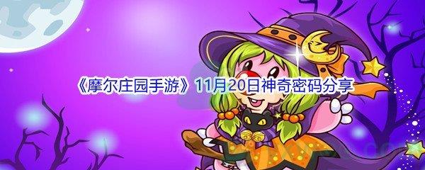 2021摩尔庄园手游11月20日神奇密码分享