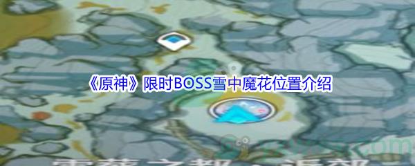 原神限时BOSS雪中魔花位置介绍