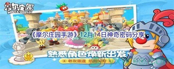 2021摩尔庄园手游12月14日神奇密码分享