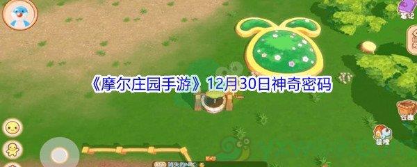 2021摩尔庄园手游12月30日神奇密码分享