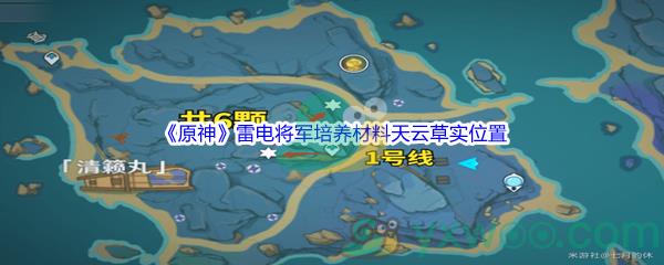 原神雷电将军培养材料天云草实采集位置