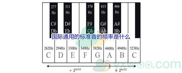 哔哩哔哩国际通用的标准音的频率是什么