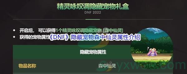 DNF隐藏宠物森中仙灵属性介绍