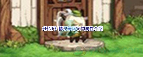 DNF精灵弩兵宠物属性介绍