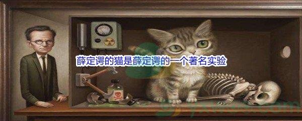 哔哩哔哩薛定谔的猫是薛定谔的一个著名实验，其不涉及的问题是