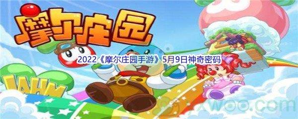 2022摩尔庄园手游5月9日神奇密码分享