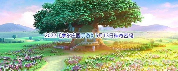 2022摩尔庄园手游5月13日神奇密码分享