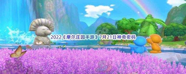 2022摩尔庄园手游7月21日神奇密码分享