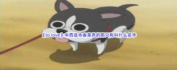 哔哩哔哩to love中西连寺春菜养的那只狗叫什么名字